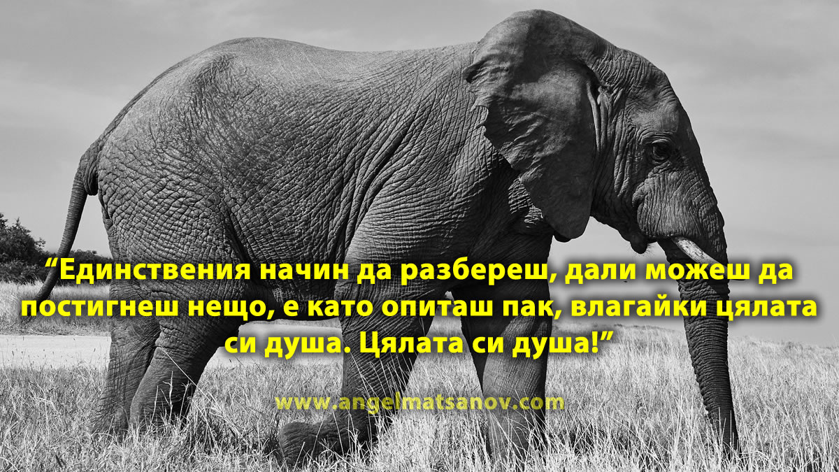 За да успееш, трябва да опиташ пак - Хорхе Букай